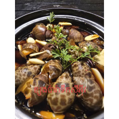 ខ្យងប៉ារ៉ាទឺកសុីអុីវ