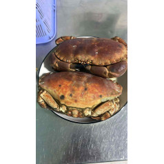 ក្ដាមនំបុ័ង