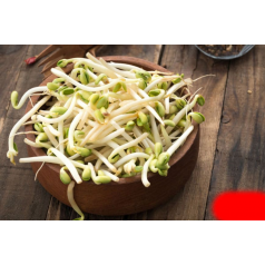 Bean sprouts (free)