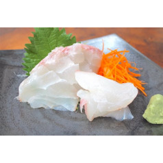 Grupper sashimi 