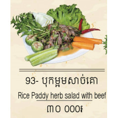 Rice Paddy Herb salad With Beef