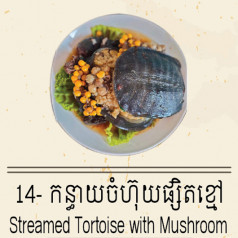 Streamed Tortoise with Mushroom