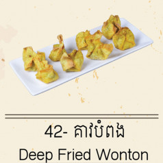 Deep Fried Wonton