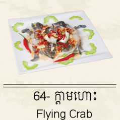 Flying Crab