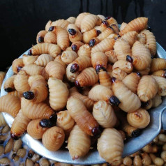 Coconut Honey (Size M = 300g)