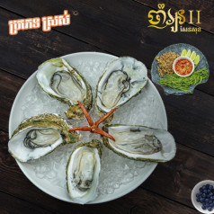 Oysters ស្រស់