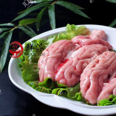 Pig brain