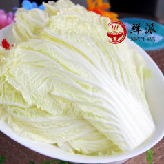 Chinese Cabbage