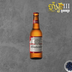 Budweiser Bottle