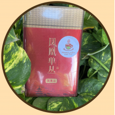 Oolong Tea