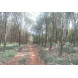 Land for Sell Land for Sell